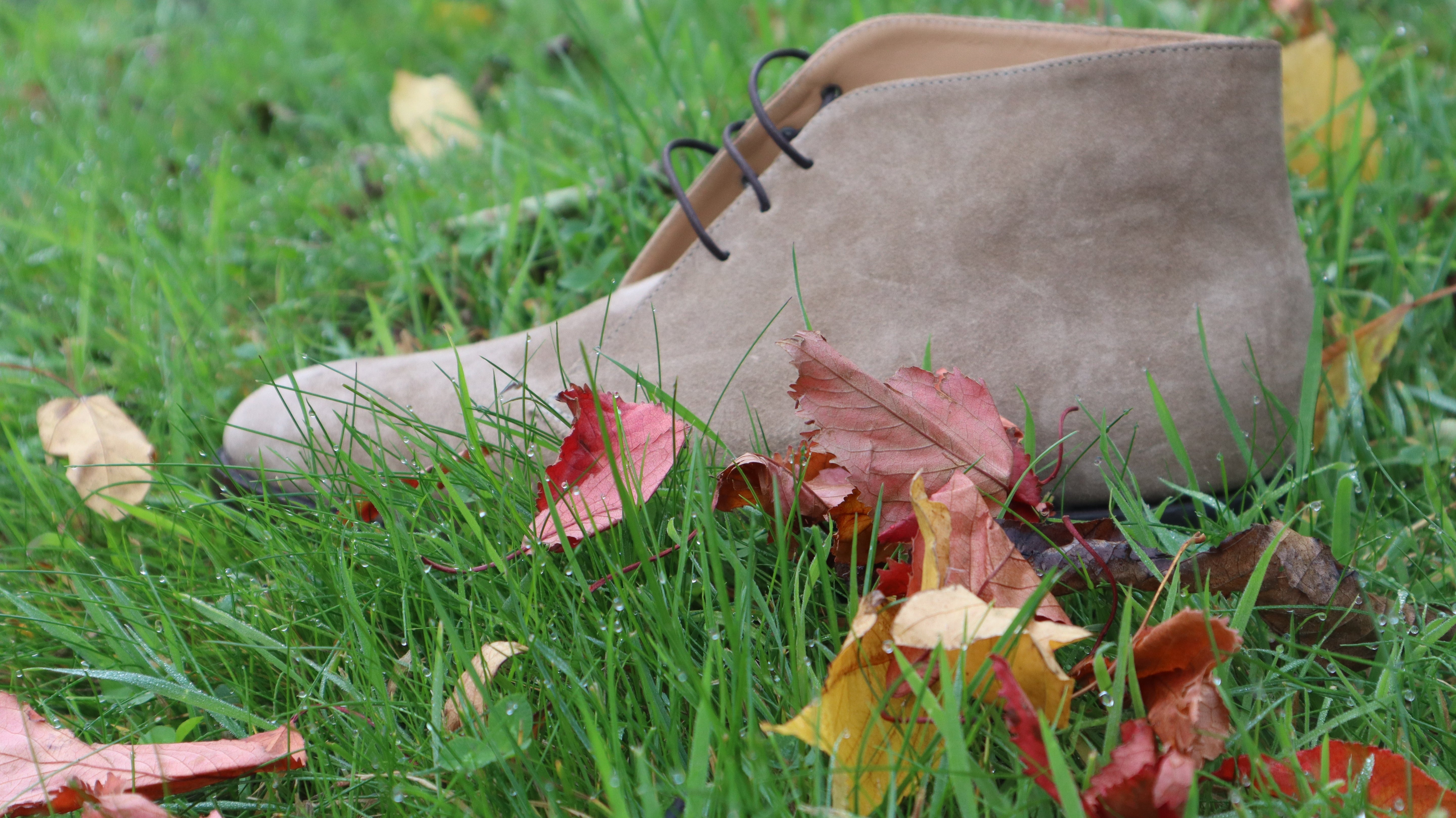 Boots to Boost your wardrobe this October!